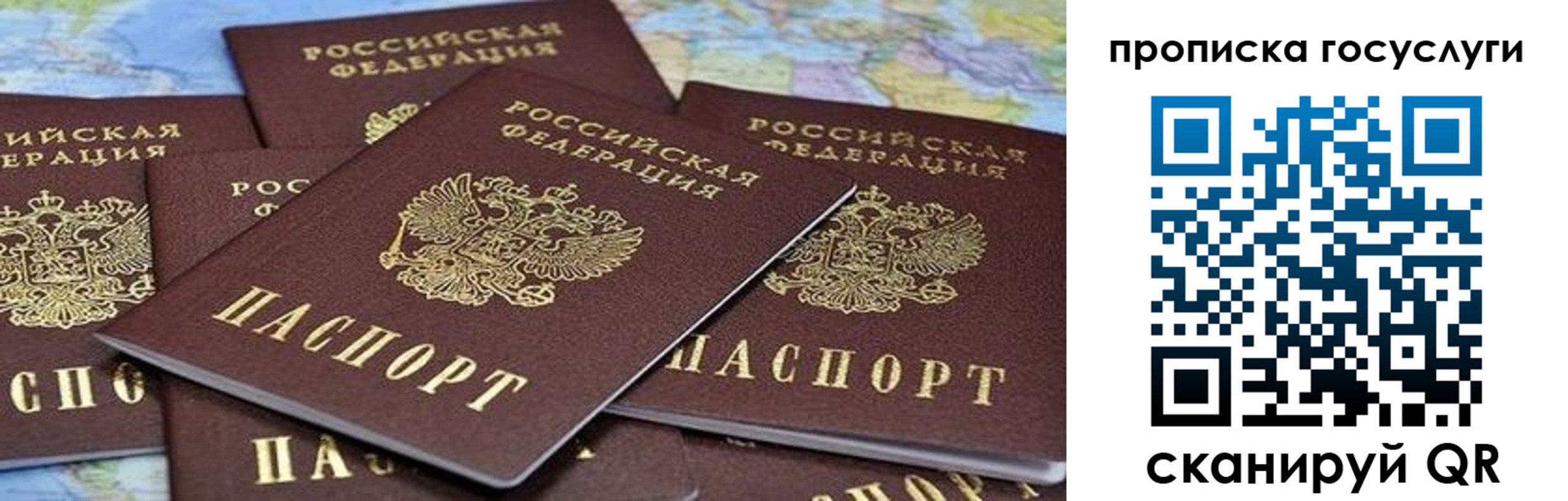 пропишу в квартире в Борзе